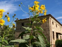 Al Palazzaccio 