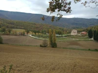 Agriturismo Colle Casini Cortesi 
