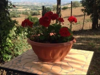 Agriturismo Tamantino 