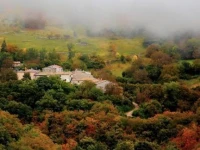 Agriturismo Pettino 
