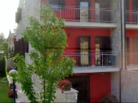 Il Daino 