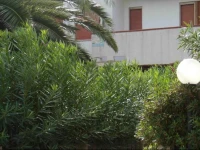 Villaggio Seleno 