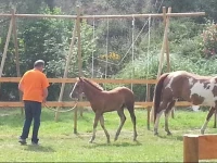 B&B Il Mondo Verde 