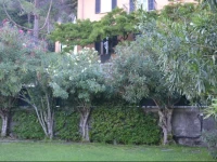Villa Nina Relais Boutique B&B 