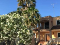 Le Palme B&B 