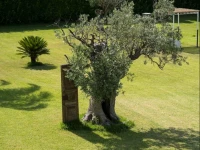 Masseria Giamarra 