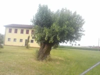 Agriturismo Ceppo 