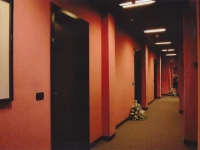 Hotel Ristorante Bellinzona 