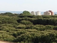 Superattico panoramico 