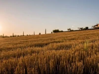 Agriturismo Il Tiro 