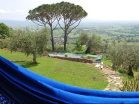 Il Pino 