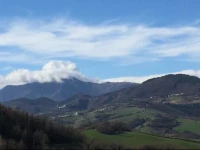 La Fenella 