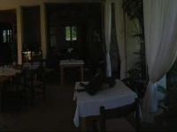 B&B Nocifazino 