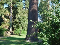 Oppidulum Resort 