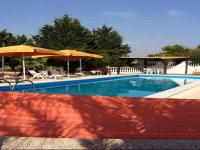 Trullo Vite 