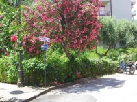 Le Giarette 