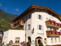 Hotel LГ¶wenwirt 