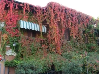 Albergo Ristorante San Giuseppe 