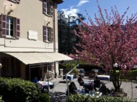 Trattoria Albergo La Vignetta 