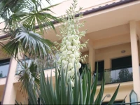 Hotel Gadames 