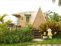 Palm Paradise Resort 4*