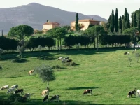 Poggiovalle Country House 