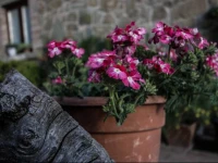 Il Borgo di Gebbia b&b 