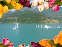 B&B Il Tulipano sul Lago 