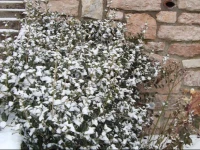 B&B La Giardinetta 