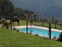 Agriturismo il Tiglio 