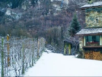 Torre Scilano 