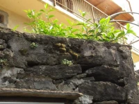 B&B Ca Del Pitur 
