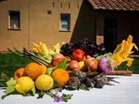 Agriturismo Lisola 