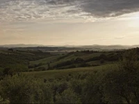 Fattoria 