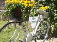 B&B LEdera 