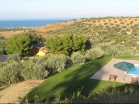 Il Colle Degli Ulivi 