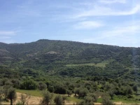Stella Del Sud 