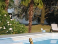Bed & Breakfast Villa Goggia 