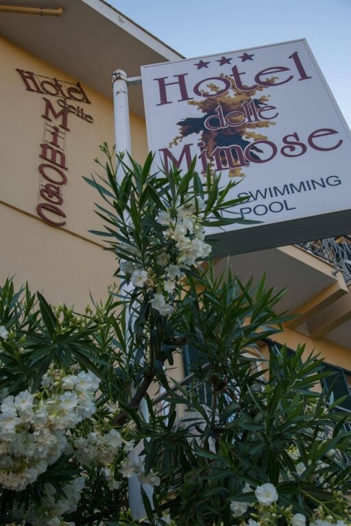 Hotel Delle Mimose 