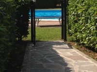 Fior di Loto 