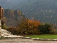 Fra Rose e Mughi 