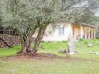 Agriturismo Biriddo 