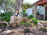 Agriturismo Didone 