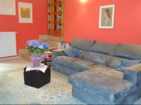 B&B Luce Viola 