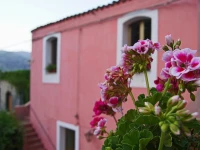 La Tenuta del Gentiluomo 