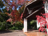 Villa Iolanda 