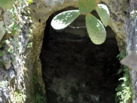 Vacanze Al Minci 