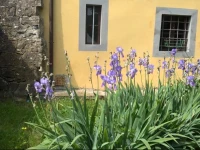 Villa Il Bosco 