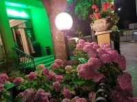 Hotel Delle Ortensie 