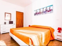 B&B Faberius 
